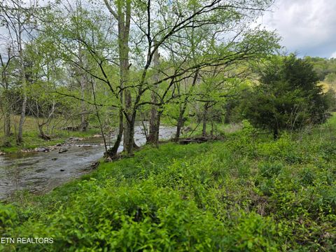 Tiny photo for 779 PawPaw Rd, Thorn Hill, TN 37881 (MLS # 1317593)