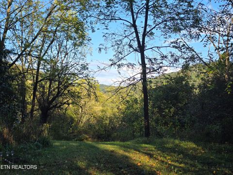 Tiny photo for 779 PawPaw Rd, Thorn Hill, TN 37881 (MLS # 1317593)