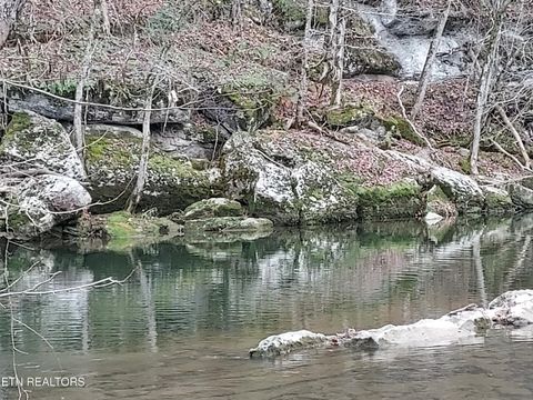 Tiny photo for 779 PawPaw Rd, Thorn Hill, TN 37881 (MLS # 1317593)