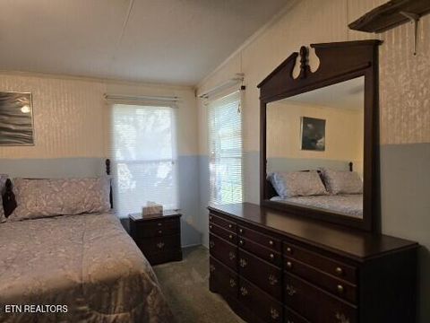 Tiny photo for 779 PawPaw Rd, Thorn Hill, TN 37881 (MLS # 1317593)