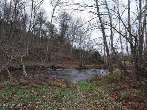 Tiny photo for 779 PawPaw Rd, Thorn Hill, TN 37881 (MLS # 1317593)