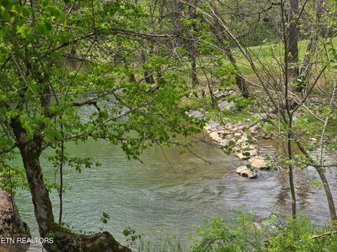 Tiny photo for 779 PawPaw Rd, Thorn Hill, TN 37881 (MLS # 1317593)