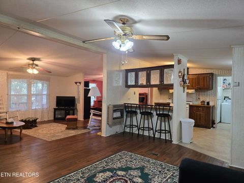 Tiny photo for 779 PawPaw Rd, Thorn Hill, TN 37881 (MLS # 1317593)