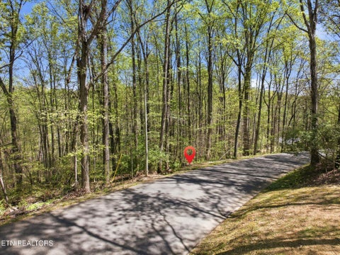 Tiny photo for Skyline Drive, Clinton, TN 37716 (MLS # 1351341)