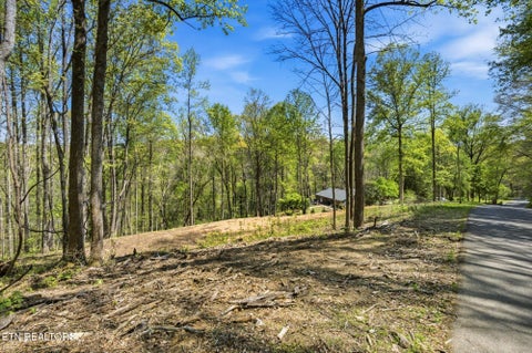 Tiny photo for Skyline Drive, Clinton, TN 37716 (MLS # 1351341)