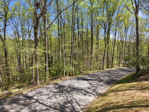 Tiny photo for Skyline Drive, Clinton, TN 37716 (MLS # 1351341)