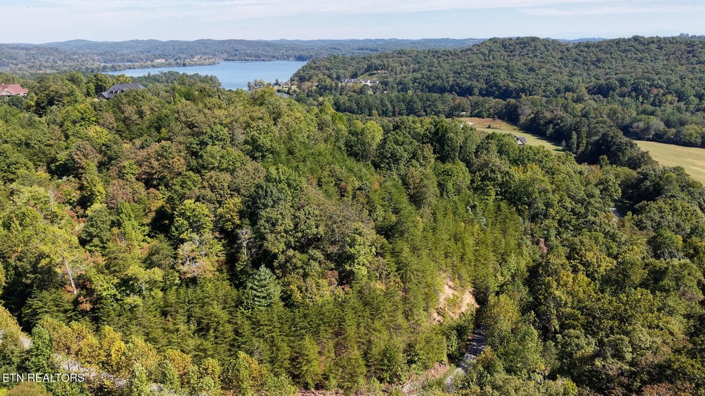 Photo of 315 Enclave Way, Kingston, TN 37763 (MLS # 1358260)