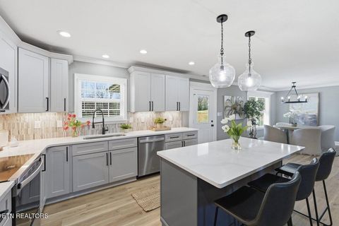 Tiny photo for 929 Carter Springs Drive, Maryville, TN 37801 (MLS # 1332711)