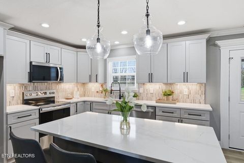 Tiny photo for 929 Carter Springs Drive, Maryville, TN 37801 (MLS # 1332711)