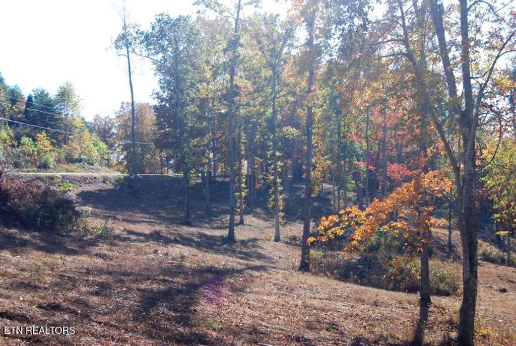 Photo of Whitetail Lane, LaFollette, TN 37766 (MLS # 1328889)