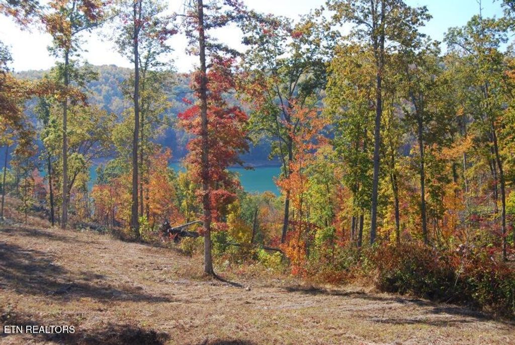 Photo of Whitetail Lane, LaFollette, TN 37766 (MLS # 1328889)