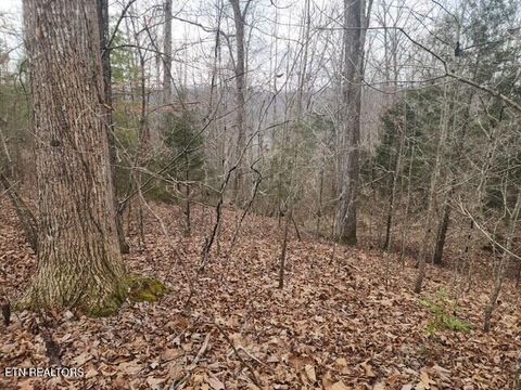 Tiny photo for Whitetail Lane, LaFollette, TN 37766 (MLS # 1328889)