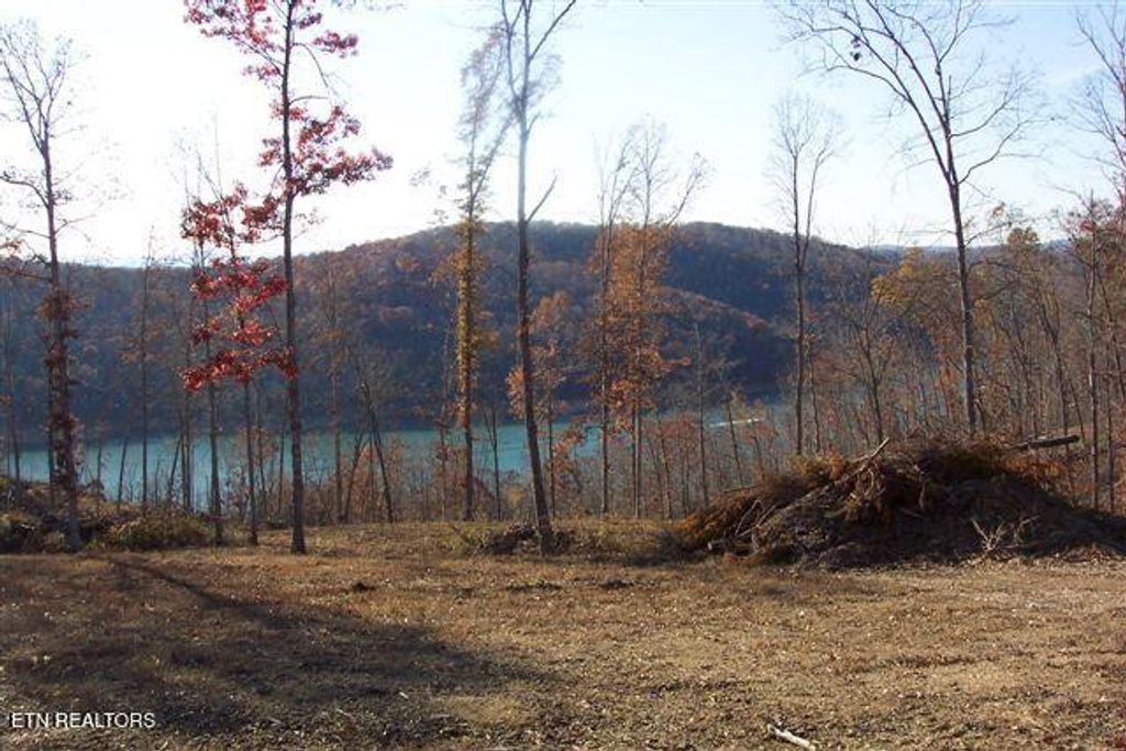 Photo of Whitetail Lane, LaFollette, TN 37766 (MLS # 1328889)