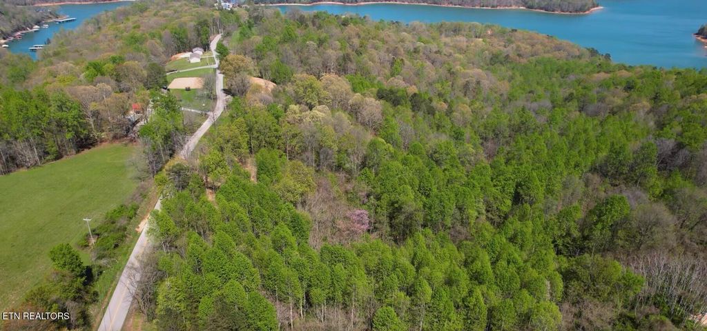 Photo of 4160 Demory Rd, LaFollette, TN 37766 (MLS # 1304321)