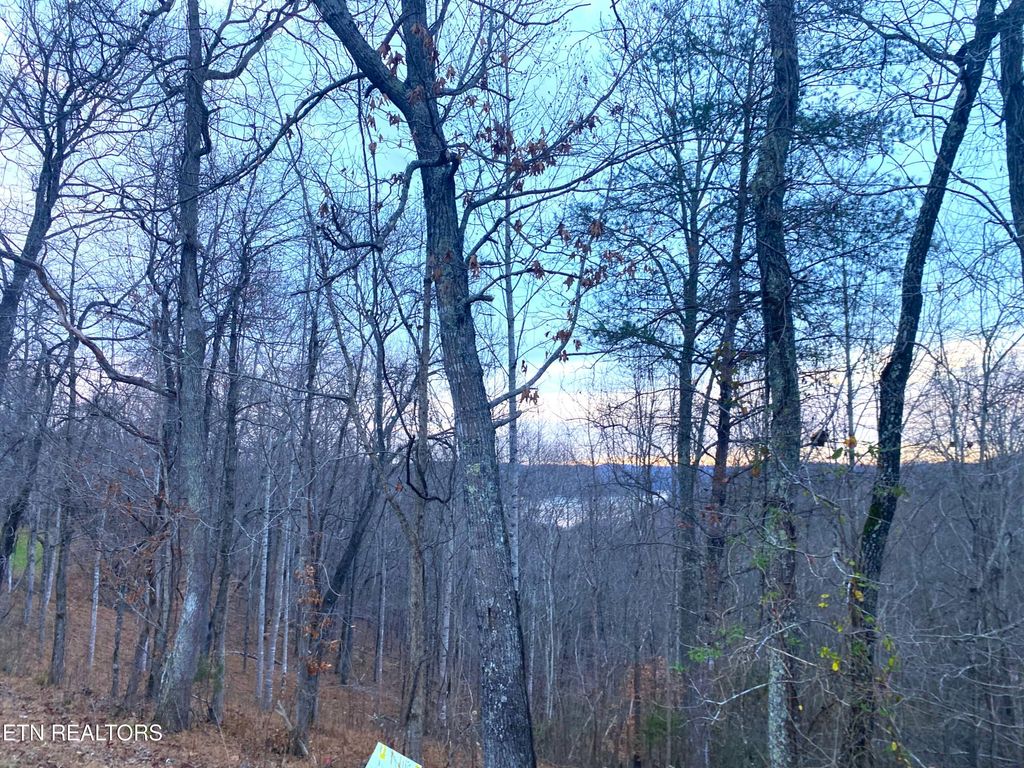 Photo of 4160 Demory Rd, LaFollette, TN 37766 (MLS # 1304321)