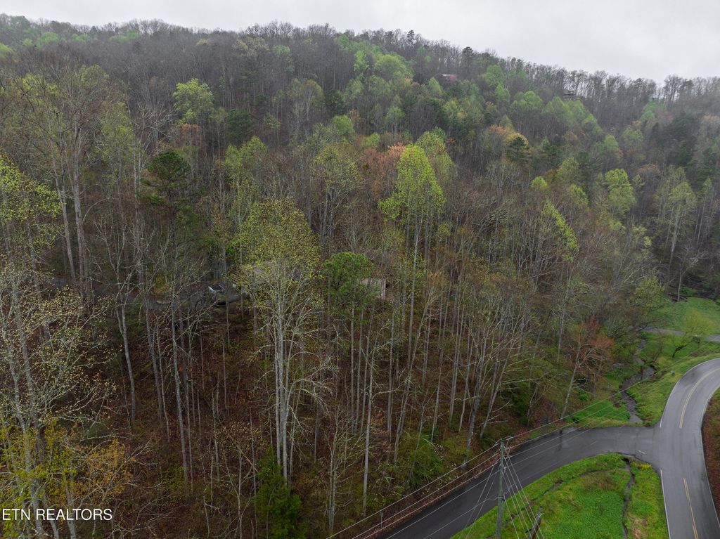 Photo of 4130 Tro Way, Gatlinburg, TN 37738 (MLS # 1309272)