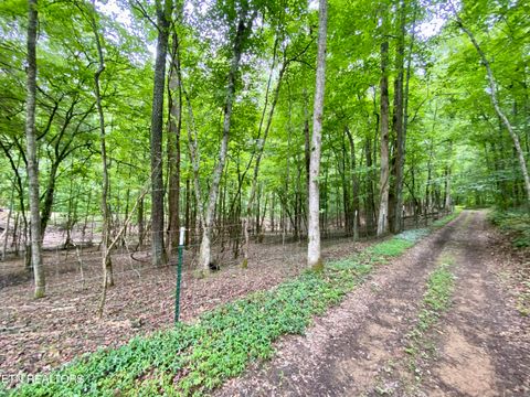Tiny photo for 207 Blackburn Lane, Lenoir City, TN 37771 (MLS # 1341873)