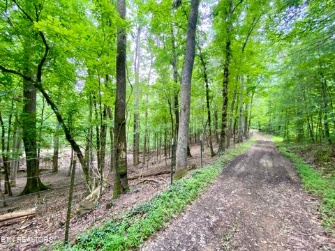 Tiny photo for 207 Blackburn Lane, Lenoir City, TN 37771 (MLS # 1341873)