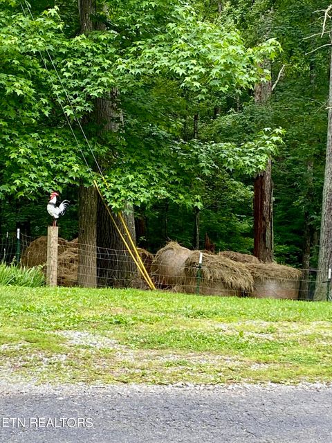 Tiny photo for 207 Blackburn Lane, Lenoir City, TN 37771 (MLS # 1341873)
