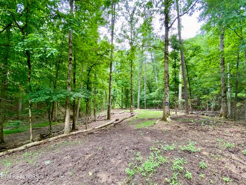 Tiny photo for 207 Blackburn Lane, Lenoir City, TN 37771 (MLS # 1341873)