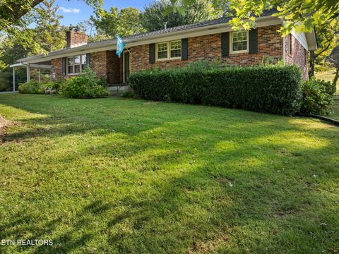 Photo of 130 Carden Lane, Rocky Top, TN 37769 (MLS # 1315605)