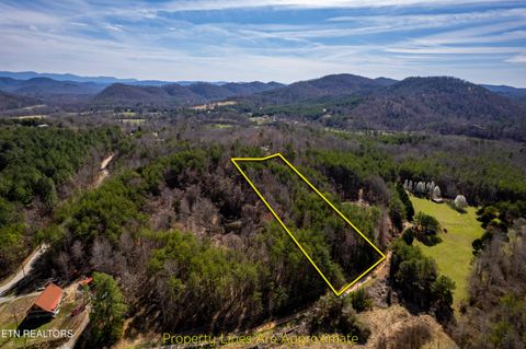 Photo of Welch Road LOT 4A, Tellico Plains, TN 37385 (MLS # 1333448)