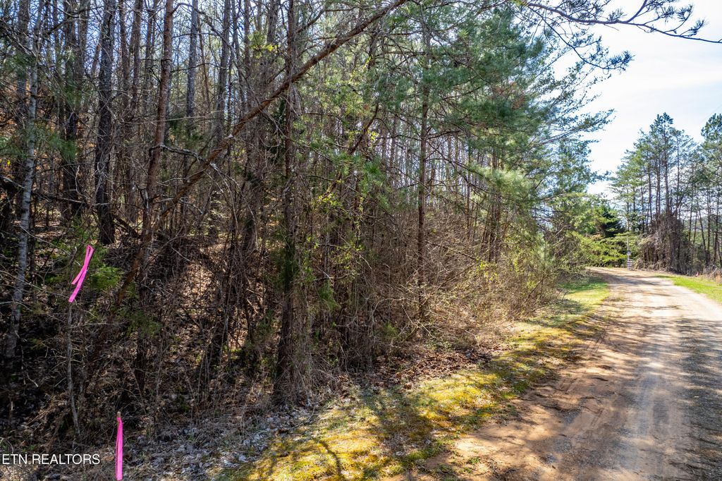 Photo of Welch Road LOT 4A, Tellico Plains, TN 37385 (MLS # 1333448)