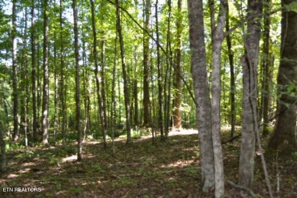 3 ROCK SPRINGS RD, CELINA, TN 38551 - Image 369c0af4175e2e42062bb69f6b0aa187/98886261