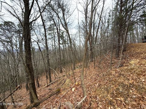 Tiny photo for 101 Green Forest Rd, Cosby, TN 37722 (MLS # 1326635)