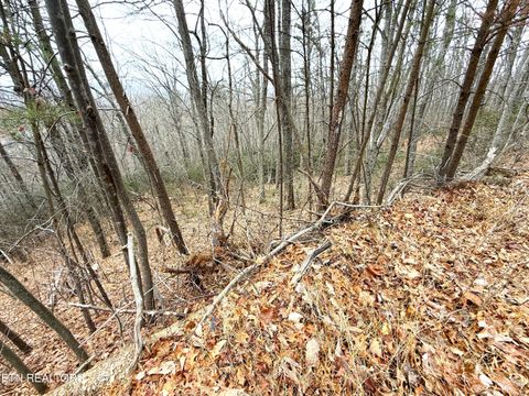 Tiny photo for 101 Green Forest Rd, Cosby, TN 37722 (MLS # 1326635)