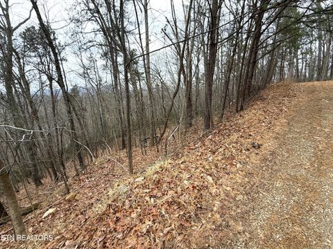 Tiny photo for 101 Green Forest Rd, Cosby, TN 37722 (MLS # 1326635)