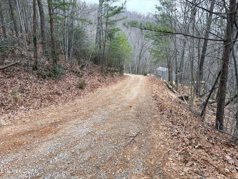 Tiny photo for 101 Green Forest Rd, Cosby, TN 37722 (MLS # 1326635)