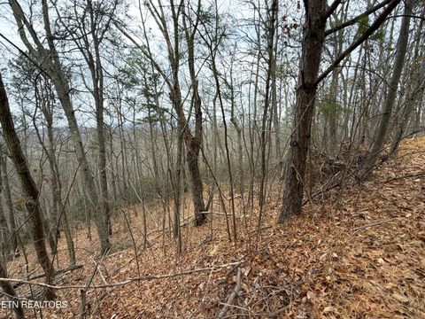 Tiny photo for 101 Green Forest Rd, Cosby, TN 37722 (MLS # 1326635)