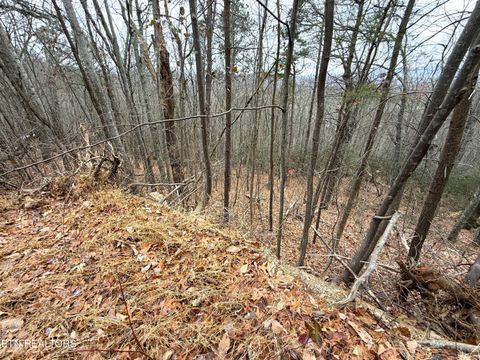 Tiny photo for 101 Green Forest Rd, Cosby, TN 37722 (MLS # 1326635)