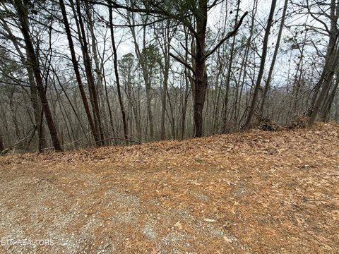 Tiny photo for 101 Green Forest Rd, Cosby, TN 37722 (MLS # 1326635)