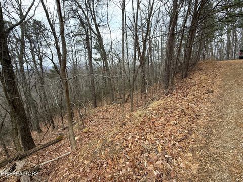 Tiny photo for 101 Green Forest Rd, Cosby, TN 37722 (MLS # 1326635)