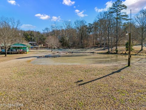Tiny photo for 537 County Road 188, Decatur, TN 37322 (MLS # 1327857)
