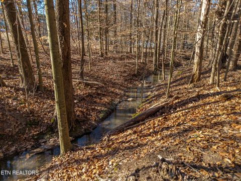 Tiny photo for 537 County Road 188, Decatur, TN 37322 (MLS # 1327857)