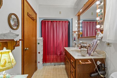 Tiny photo for 537 County Road 188, Decatur, TN 37322 (MLS # 1327857)