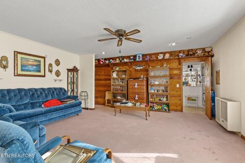 Tiny photo for 537 County Road 188, Decatur, TN 37322 (MLS # 1327857)