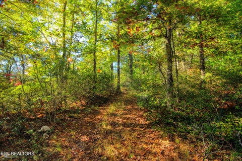 Tiny photo for 32 Mill Creek Point, Allardt, TN 38504 (MLS # 1359624)