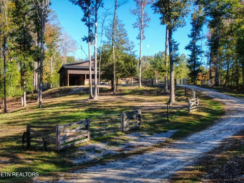 Tiny photo for 32 Mill Creek Point, Allardt, TN 38504 (MLS # 1359624)