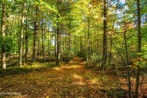 Tiny photo for 32 Mill Creek Point, Allardt, TN 38504 (MLS # 1359624)