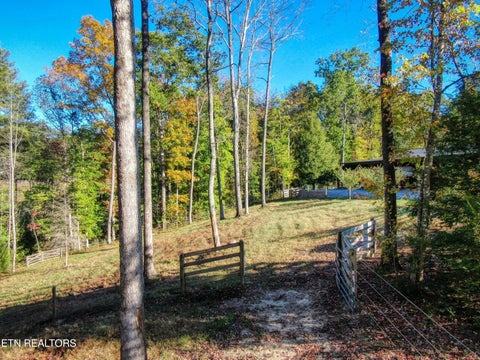 Tiny photo for 32 Mill Creek Point, Allardt, TN 38504 (MLS # 1359624)