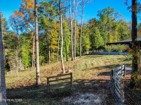 Tiny photo for 32 Mill Creek Point, Allardt, TN 38504 (MLS # 1359624)