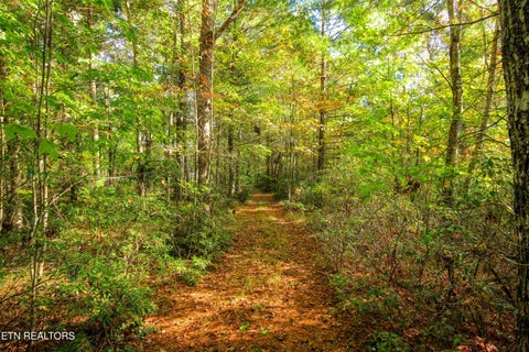 Tiny photo for 32 Mill Creek Point, Allardt, TN 38504 (MLS # 1359624)
