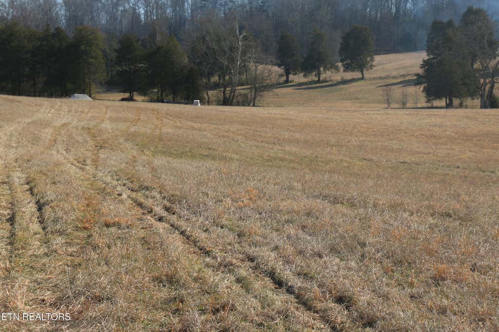 Photo of 931 Highway 39, Athens, TN 37303 (MLS # 1329043)