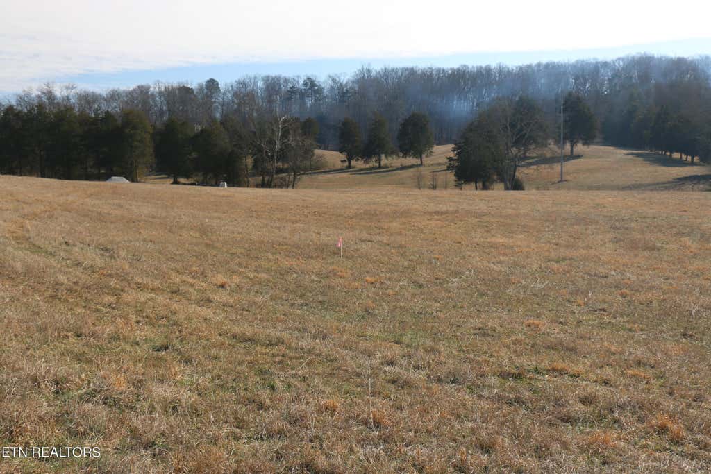 Photo of 931 Highway 39, Athens, TN 37303 (MLS # 1329043)