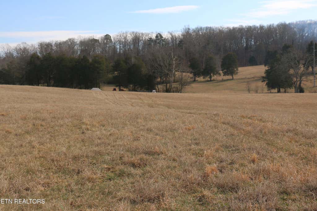 Photo of 931 Highway 39, Athens, TN 37303 (MLS # 1329043)