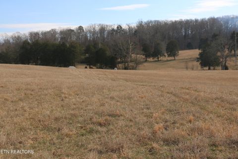 9.31 Acres Highway 39 Athens TN 37303